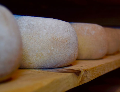 L’impiego del legno nella stagionatura dei formaggi