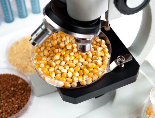 Raccomandazioni per una corretta preparazione e consegna dei campioni al laboratorio